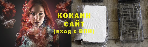 дживик Инта