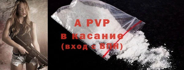 ГАЛЛЮЦИНОГЕННЫЕ ГРИБЫ Иннополис