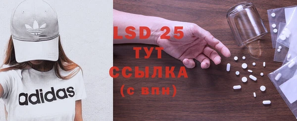 ГАЛЛЮЦИНОГЕННЫЕ ГРИБЫ Иннополис