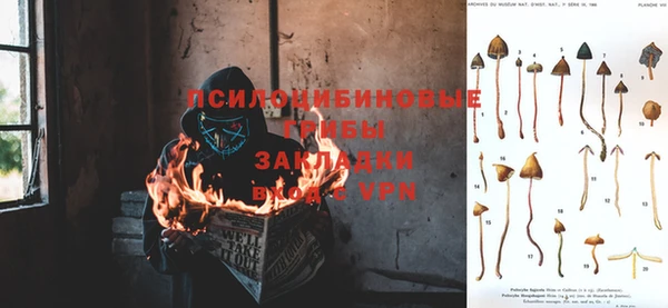 ГАЛЛЮЦИНОГЕННЫЕ ГРИБЫ Иннополис