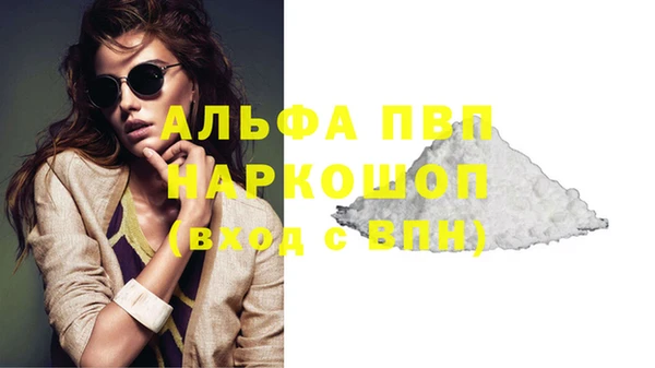 дживик Инта