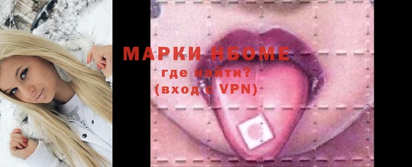 дживик Инта