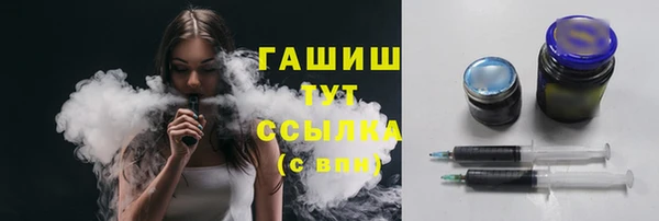 дживик Инта