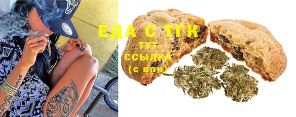 дживик Инта