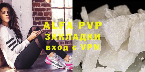 дживик Инта