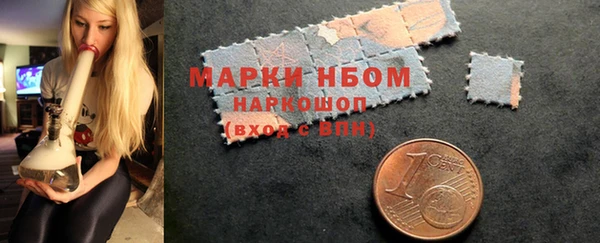 дживик Инта