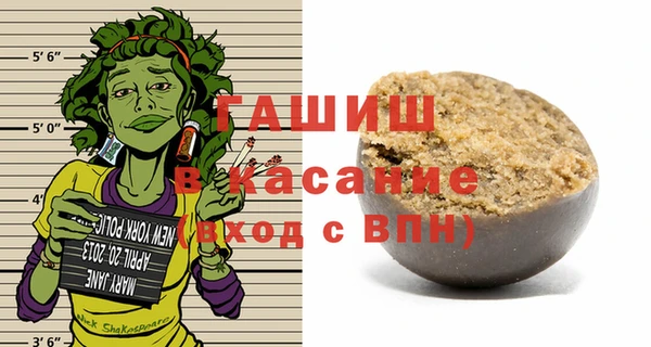 дживик Инта