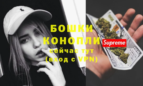 ГАЛЛЮЦИНОГЕННЫЕ ГРИБЫ Иннополис
