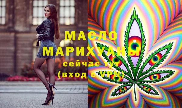 дживик Инта