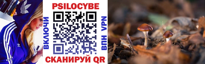 Псилоцибиновые грибы GOLDEN TEACHER Купить закладки Новосиль