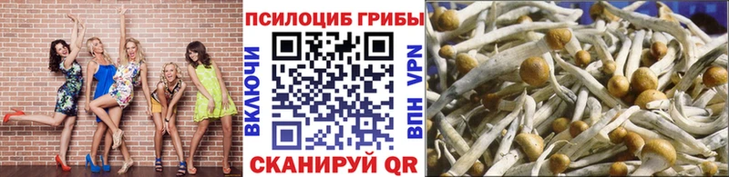 Псилоцибиновые грибы Magic Shrooms Новосиль